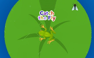 Catch The Fly